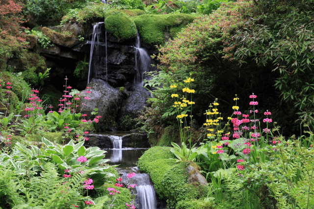 A small waterfall at Bodnant Garden