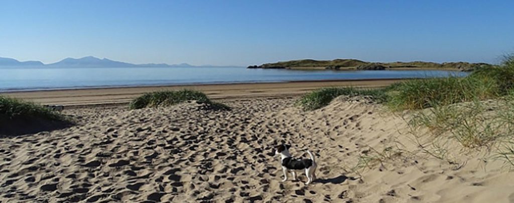 Dog Friendly Beaches in North Wales