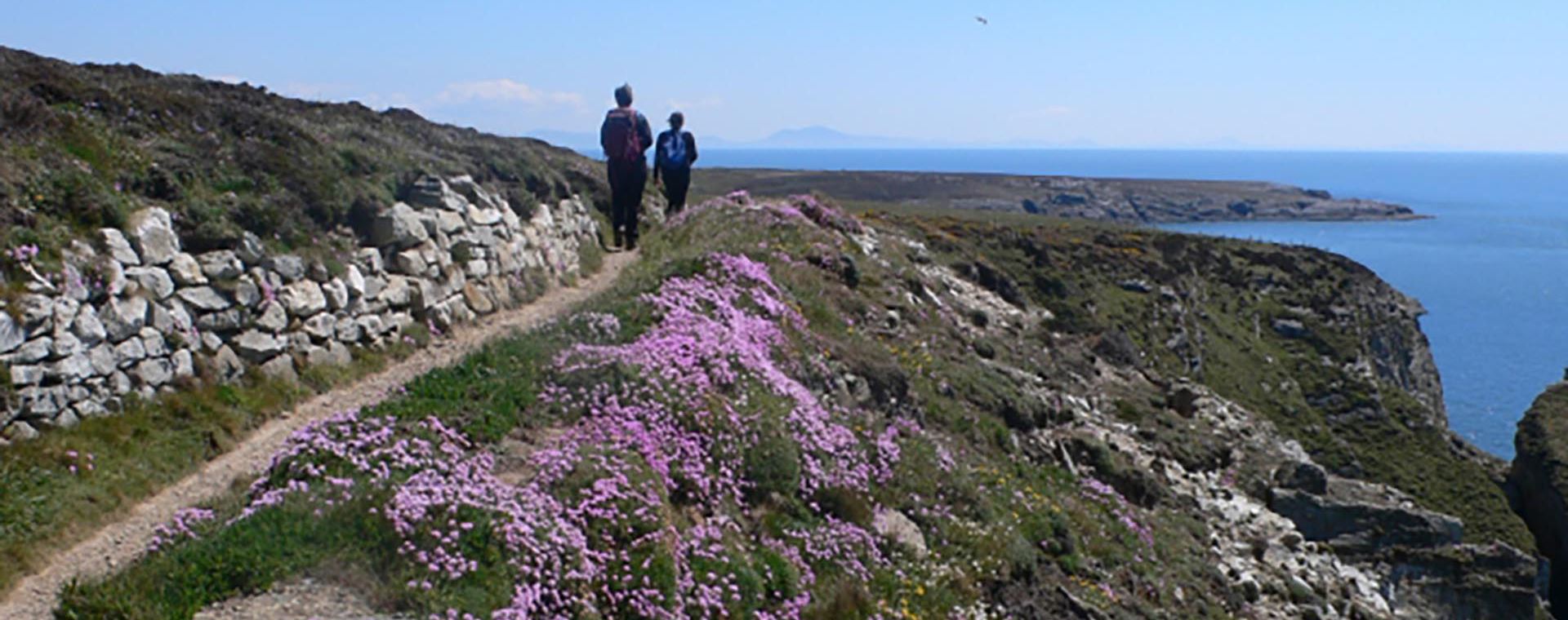 anglesey walking festival