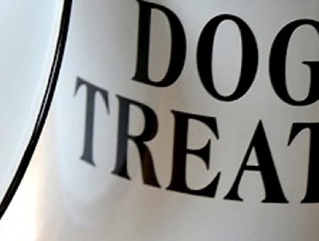 Dog Treats, Staycation with your Dog