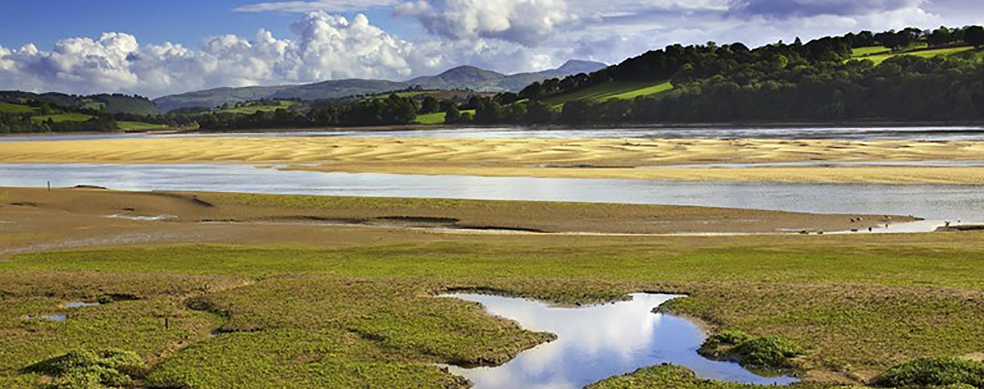 RSPB Conwy near South Stack Lighthouse