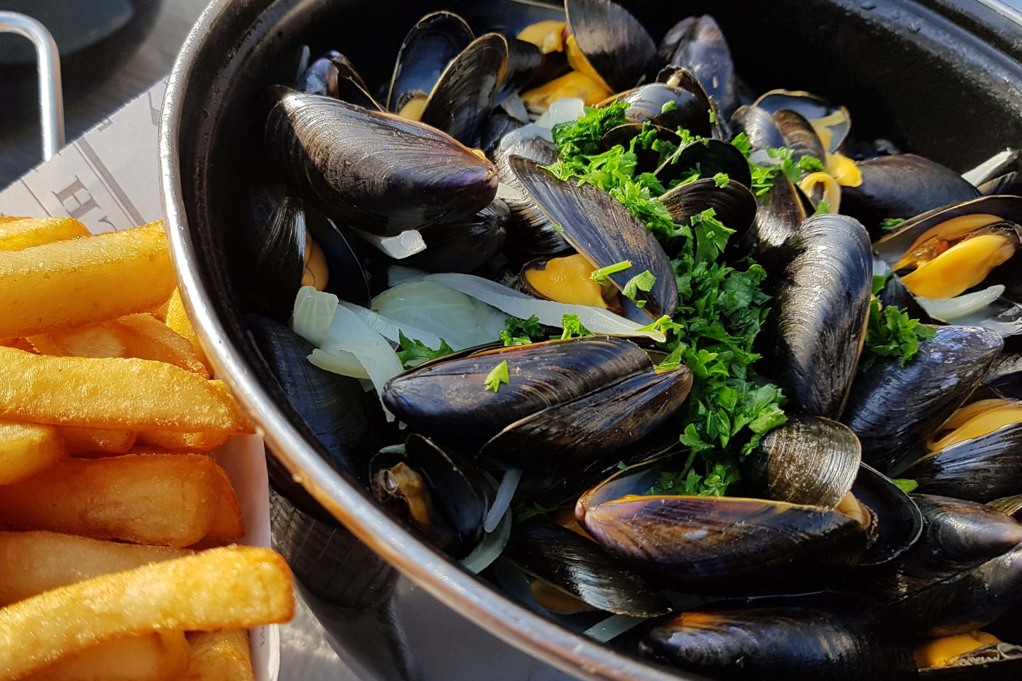 Marvellous Menai Mussels Menai Holidays