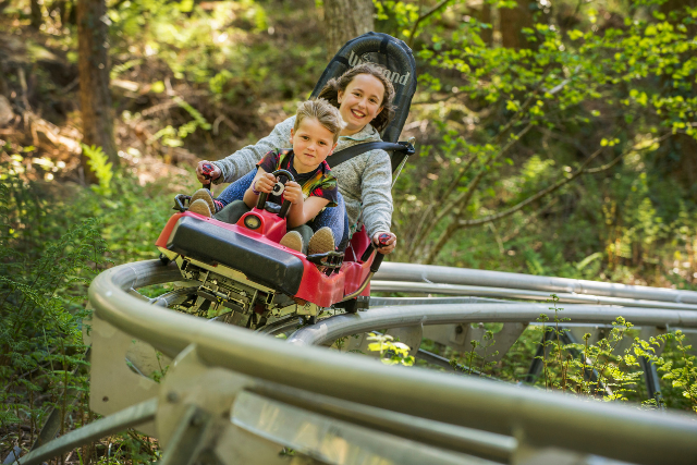 Mother and son riding the fforest Coaster in Snowdonia