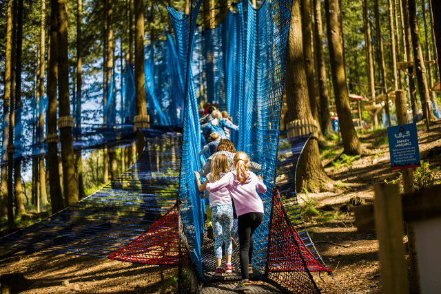 Children walking through nets at Treetop Nets Snowdonia