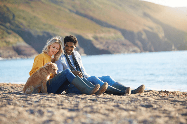 couple sat on beach with dog