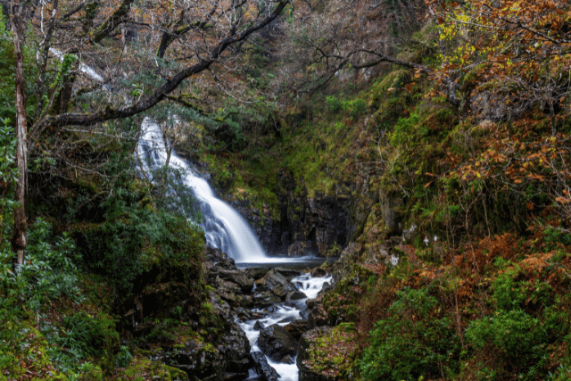 Rhaeadr Mawddach & Pistyll Cain